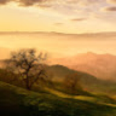 Sophie zoekt een Huurwoning / Appartement / Studio in Zwolle