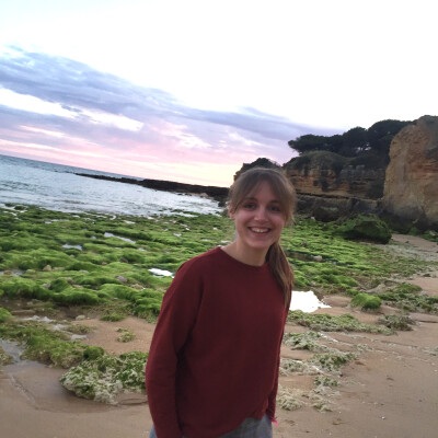 Hanne is looking for a Room in Zwolle